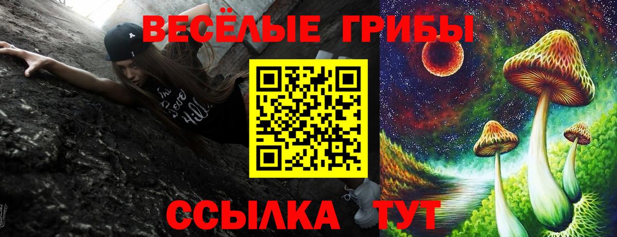 Галлюциногенные грибы Cubensis  Вход с VPN  Железноводск 